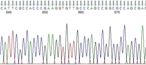 Biol 316, Advanced Molecular Biology