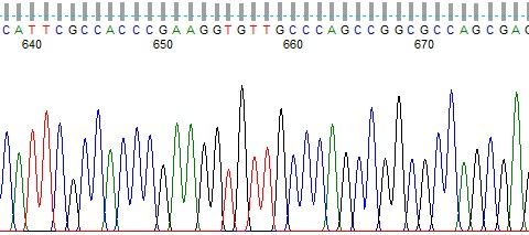 Biol 316, Advanced Molecular Biology