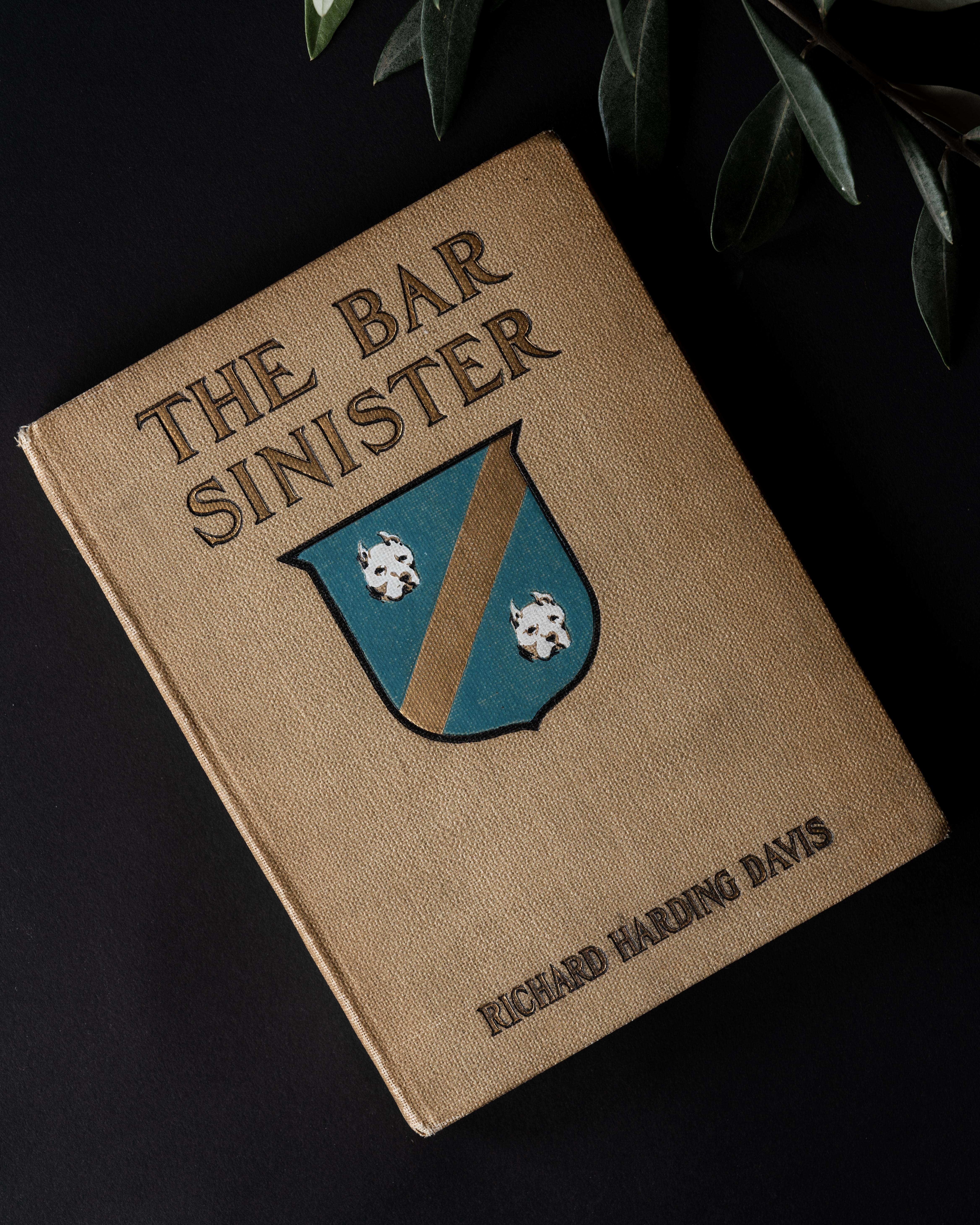 Decoding 'The Bar Sinister' image