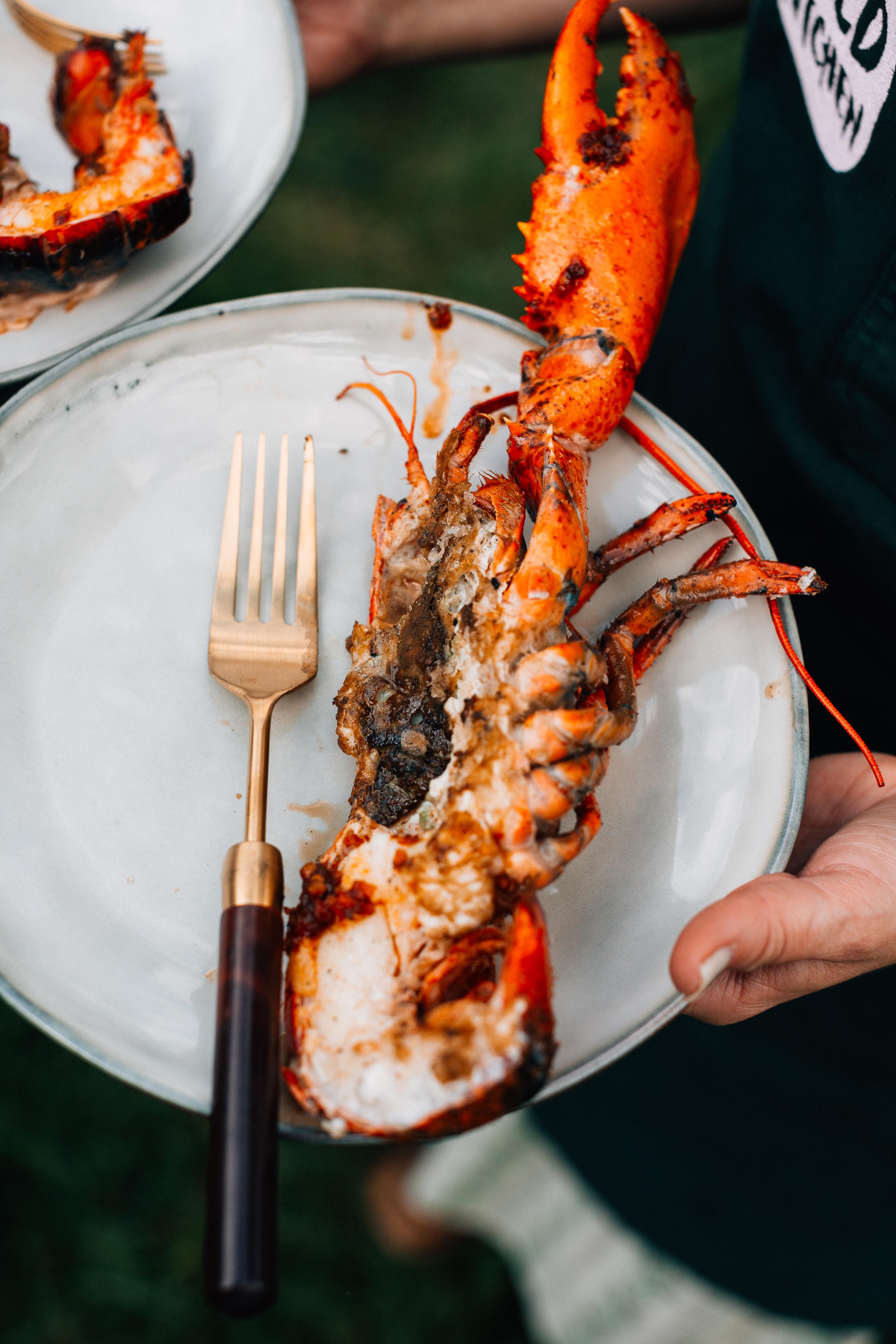 Plated lobster roast.