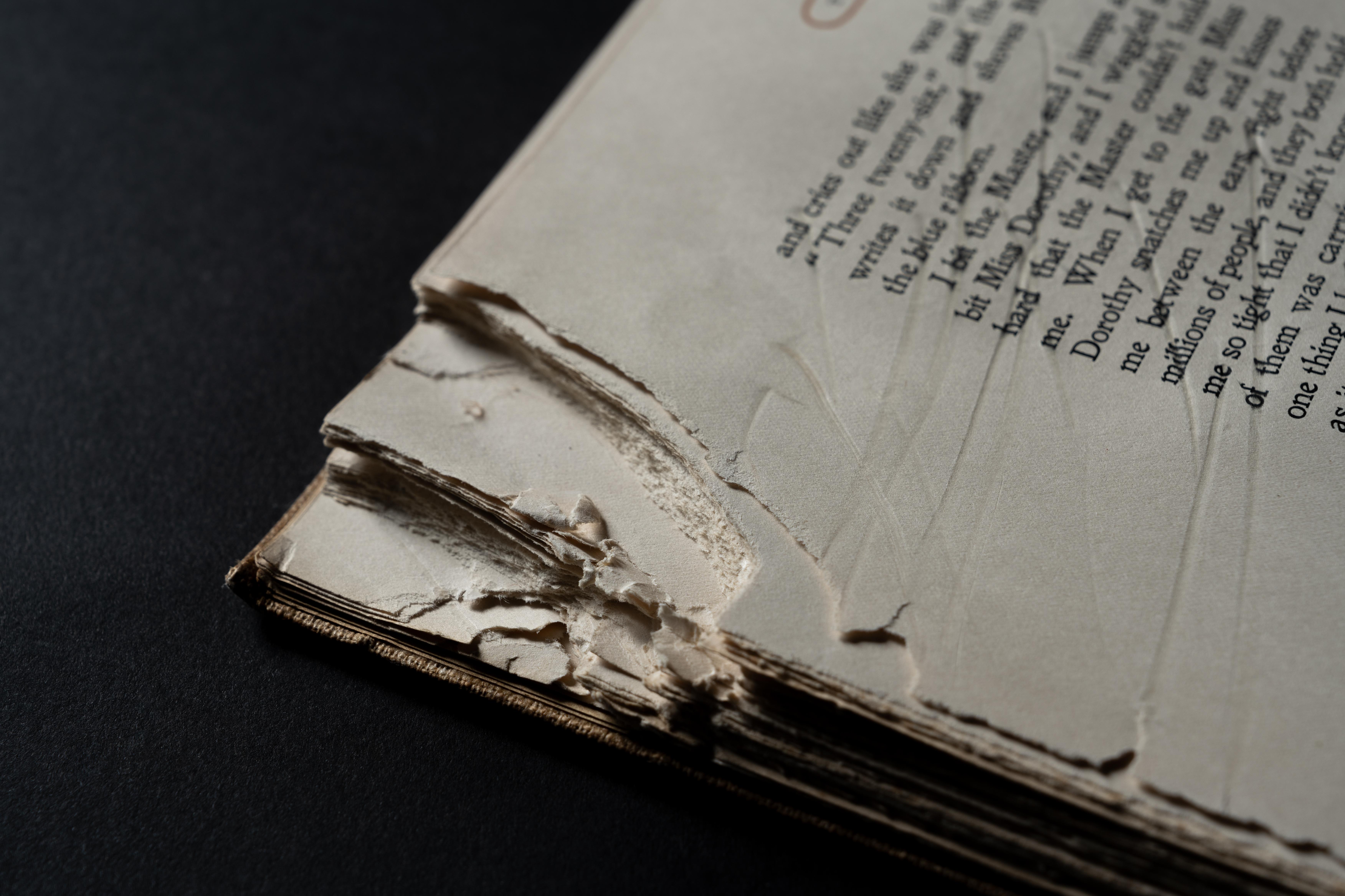 First pressing of The Bar Sinister owned by Richard Harding Davis with dog-chewed edge.