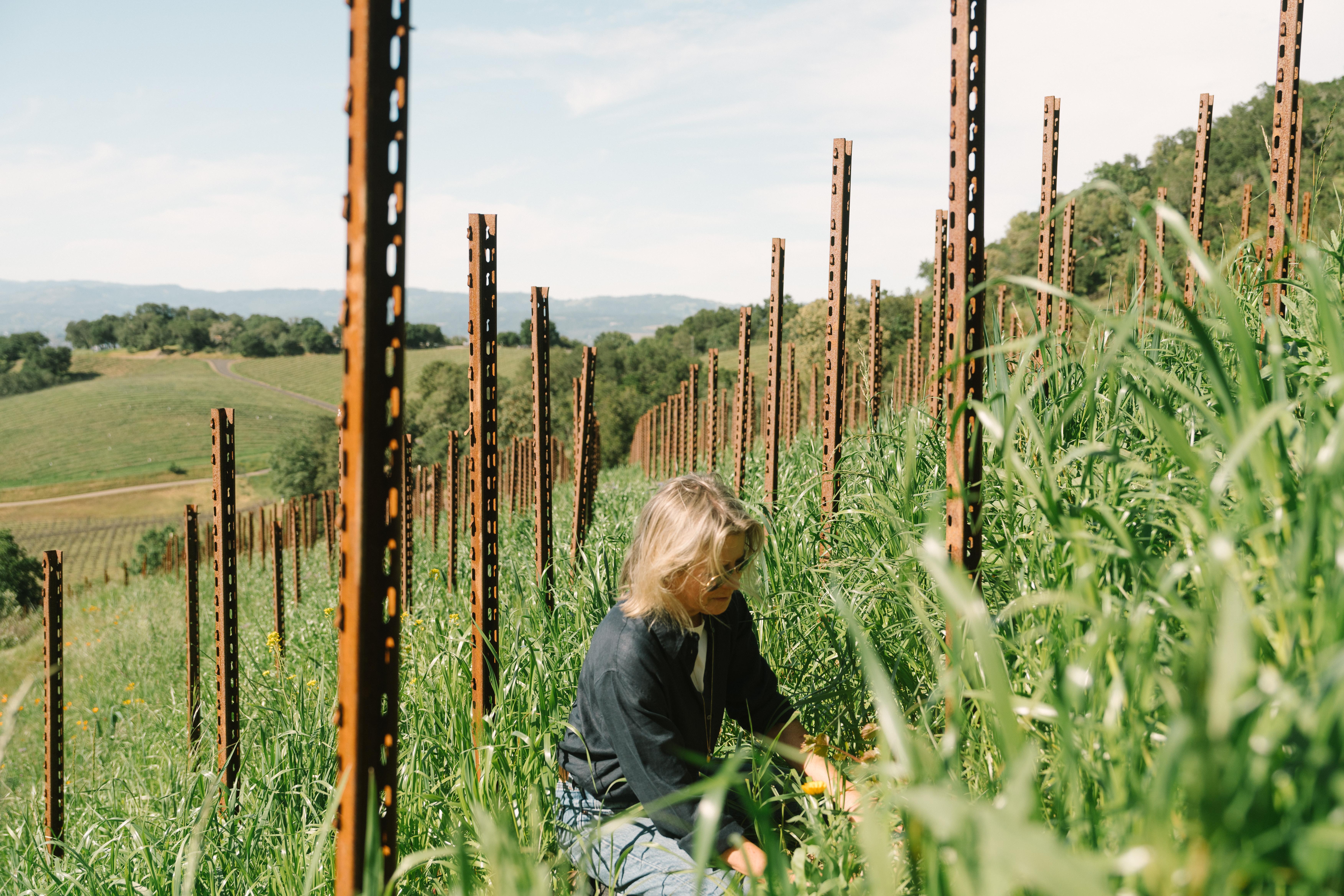 Image of Mary Maher working in the vineyard.