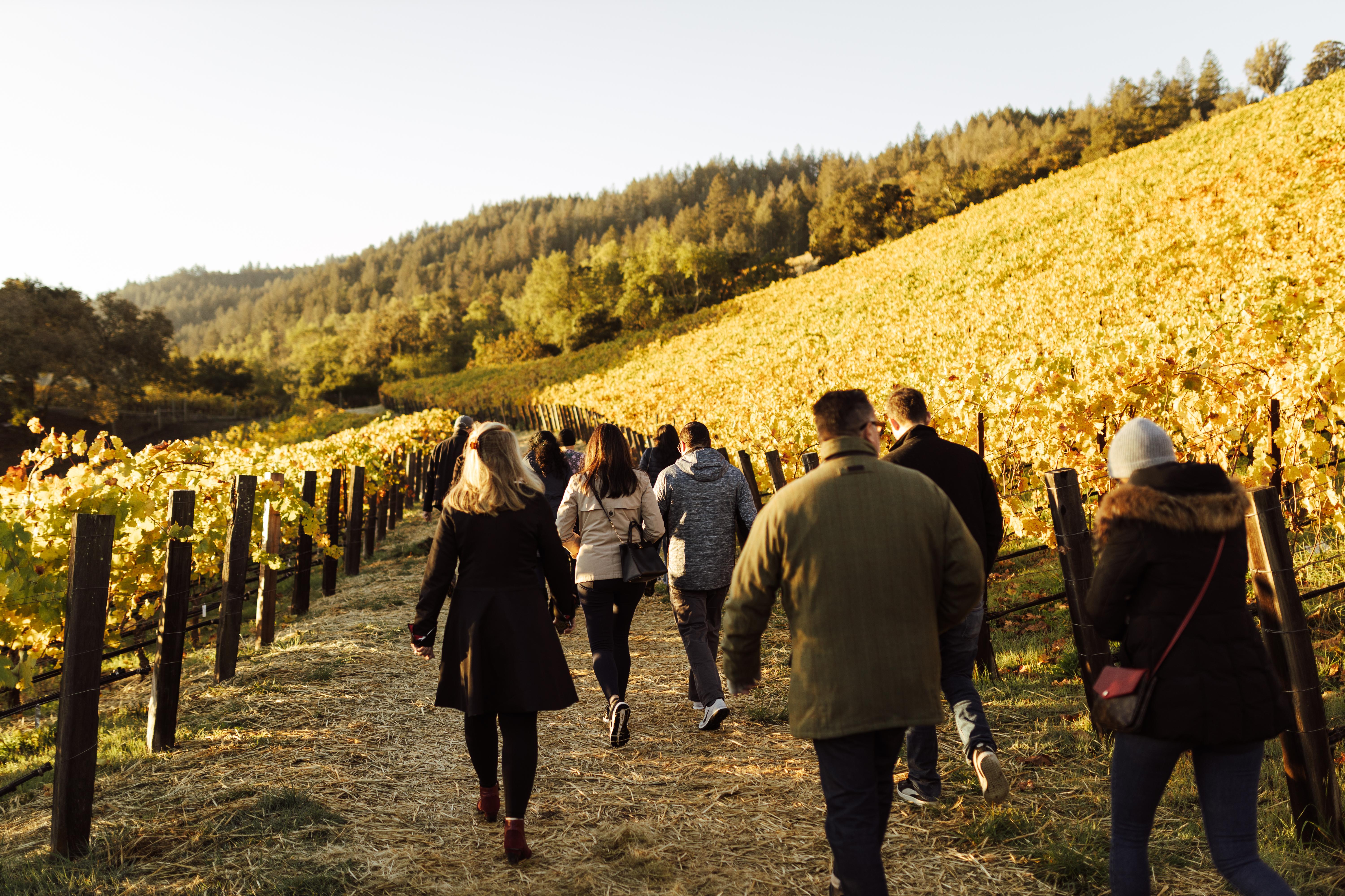 A morning vineyard hike kicks things off at Dawn Patrol.