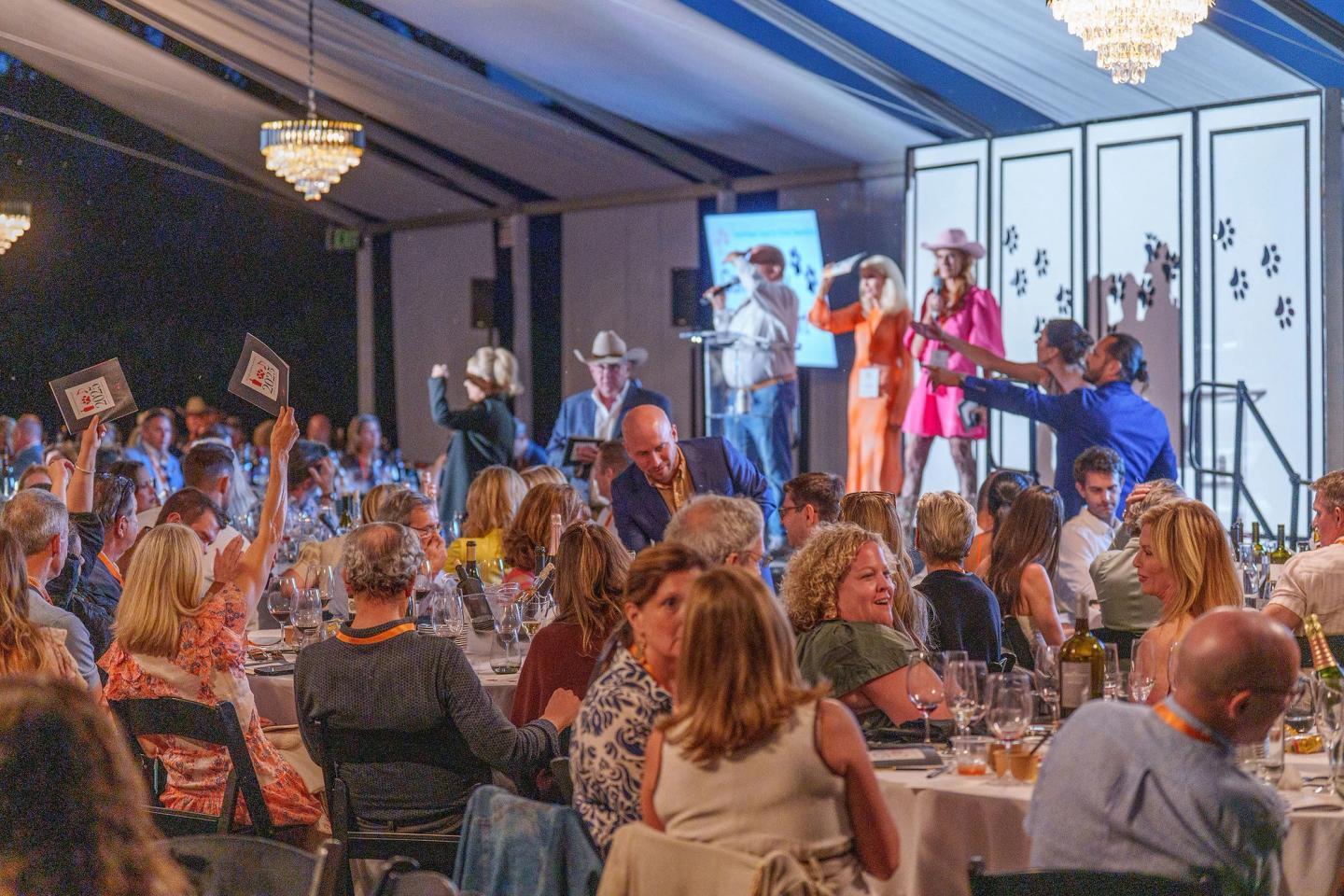 Image for 13th Annual WineaPAWlooza