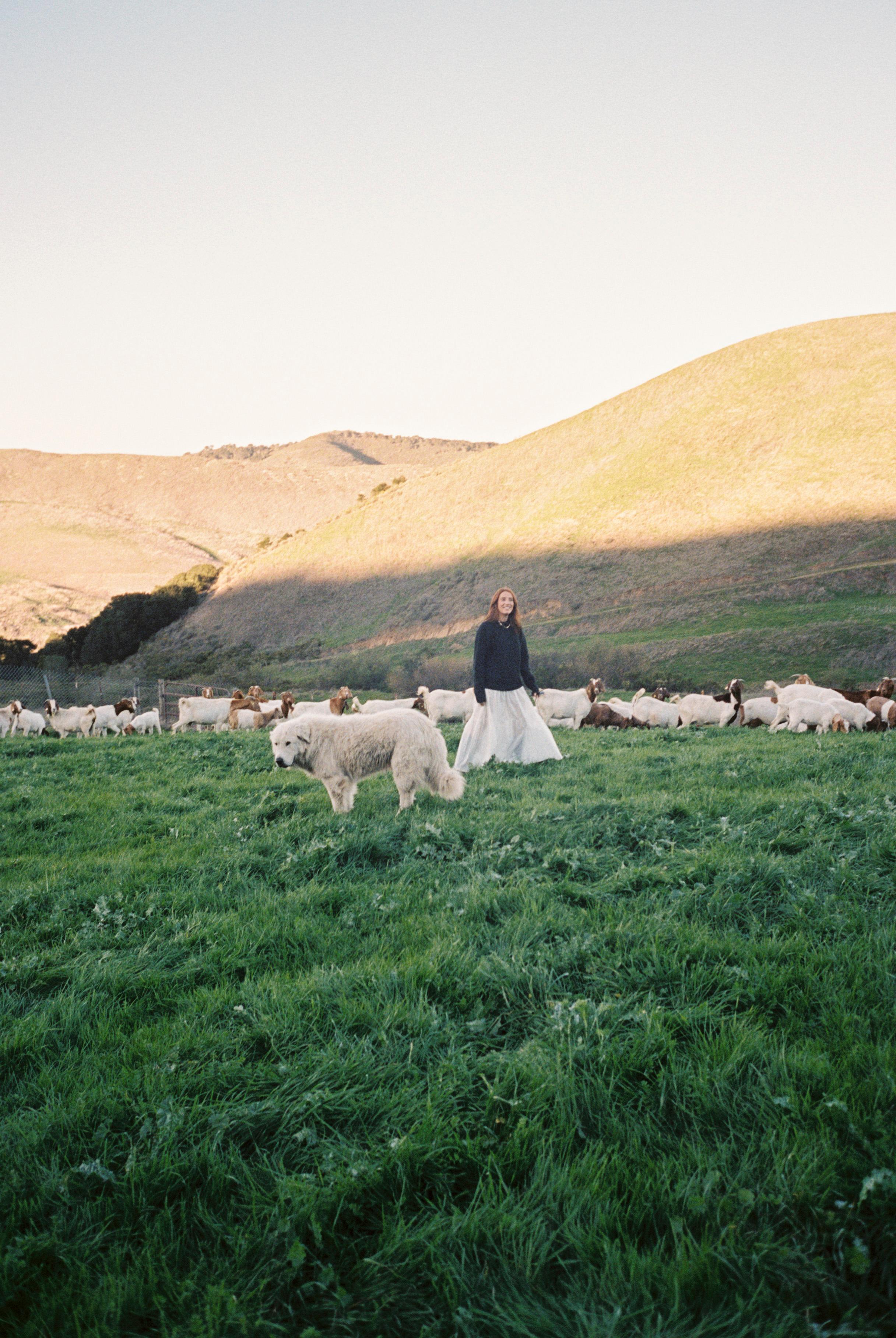 Camilla Marcus in the countryside with sheep and dogs.