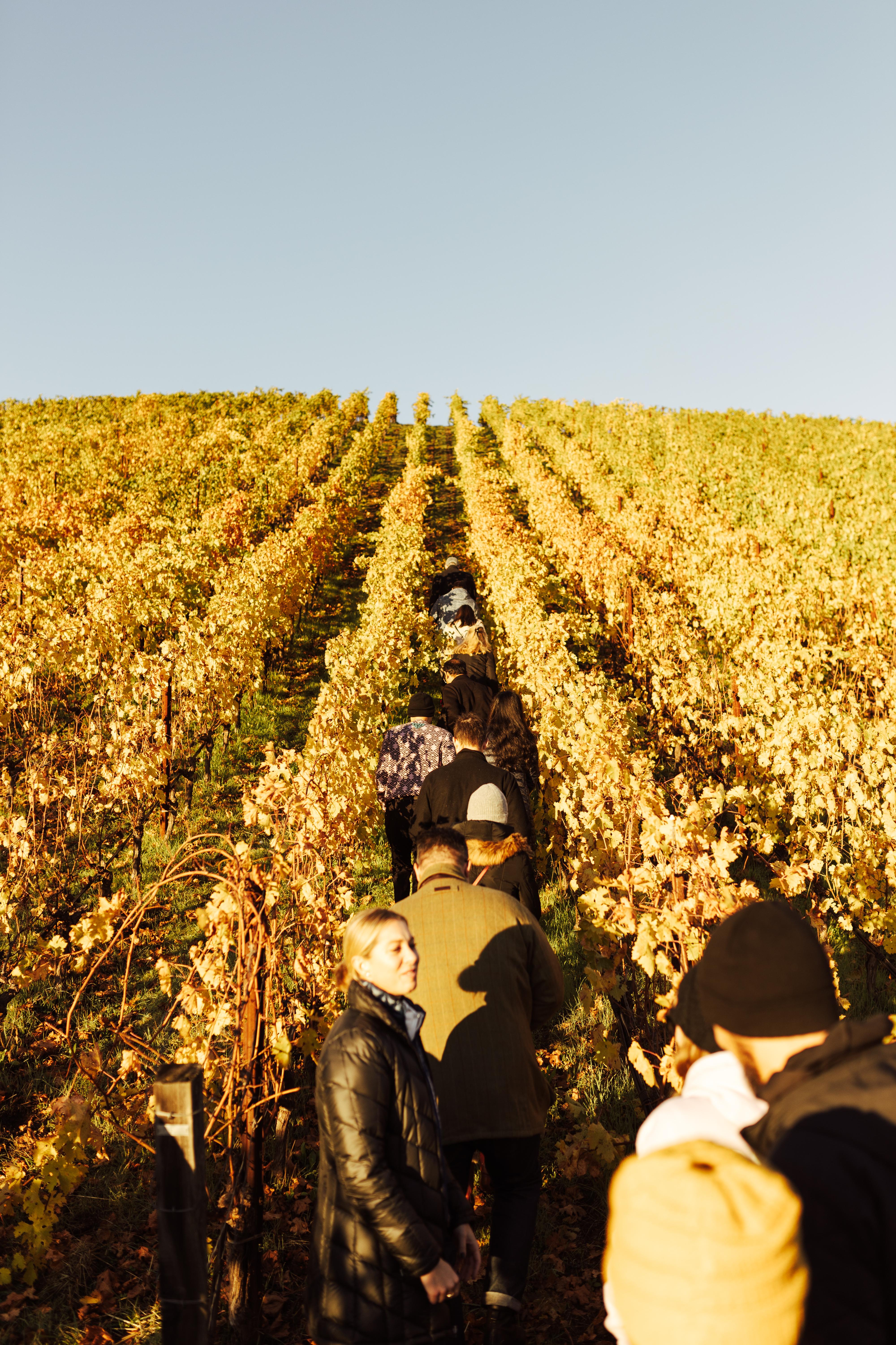 The Spirited Origins of Dawn Patrol image