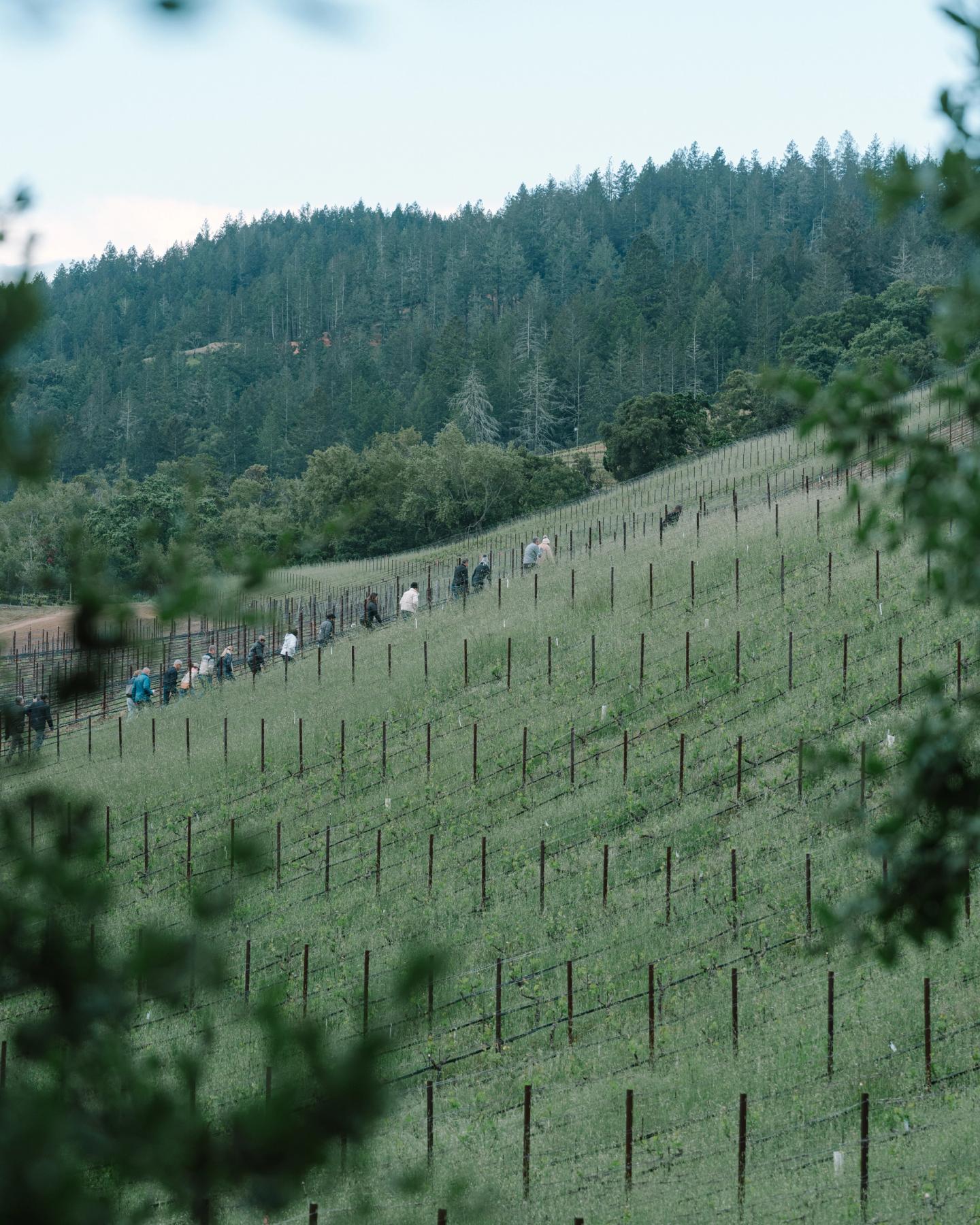 Image for Dawn Patrol with Director Mollie Maisch