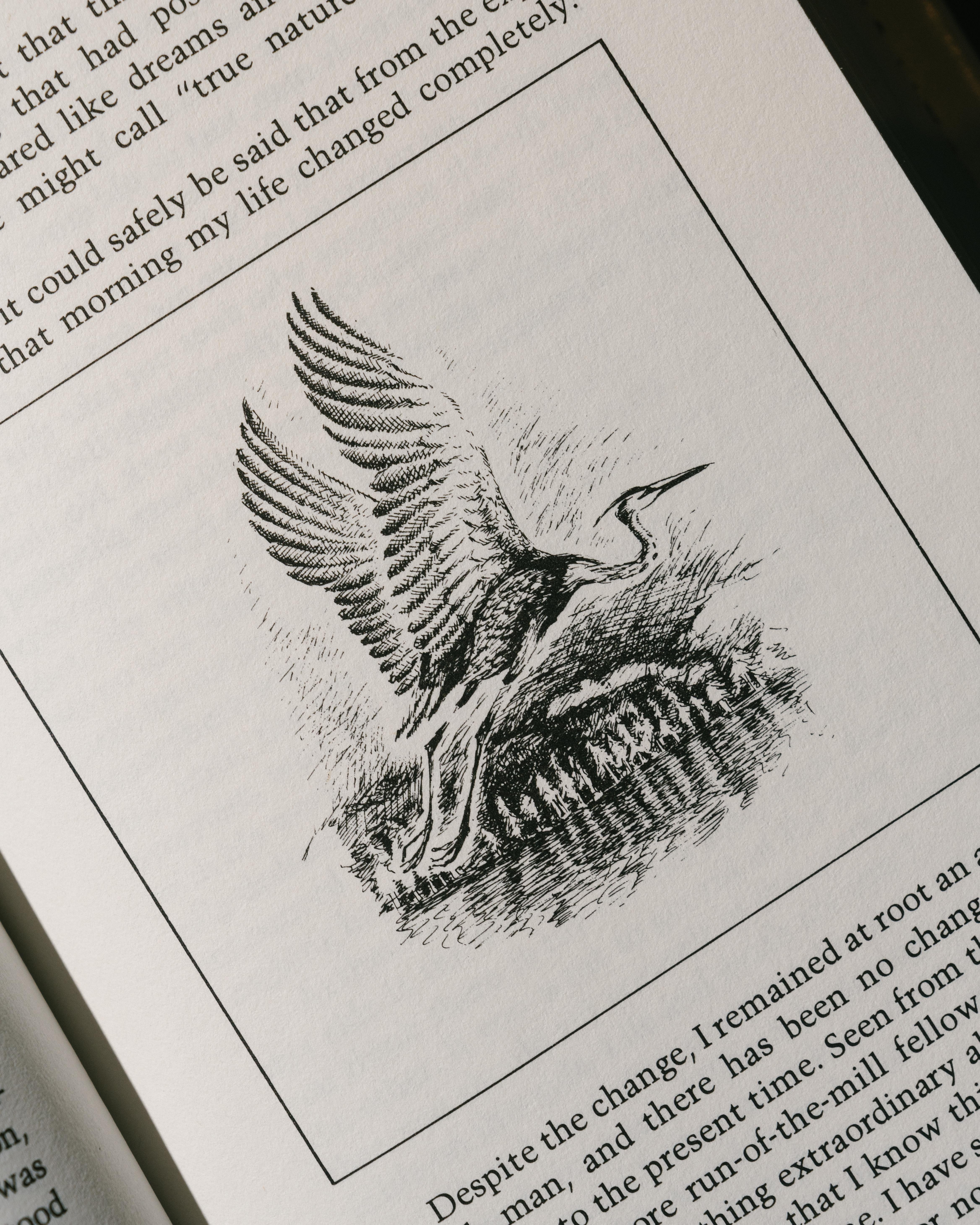 Pages of One Straw Revolution.