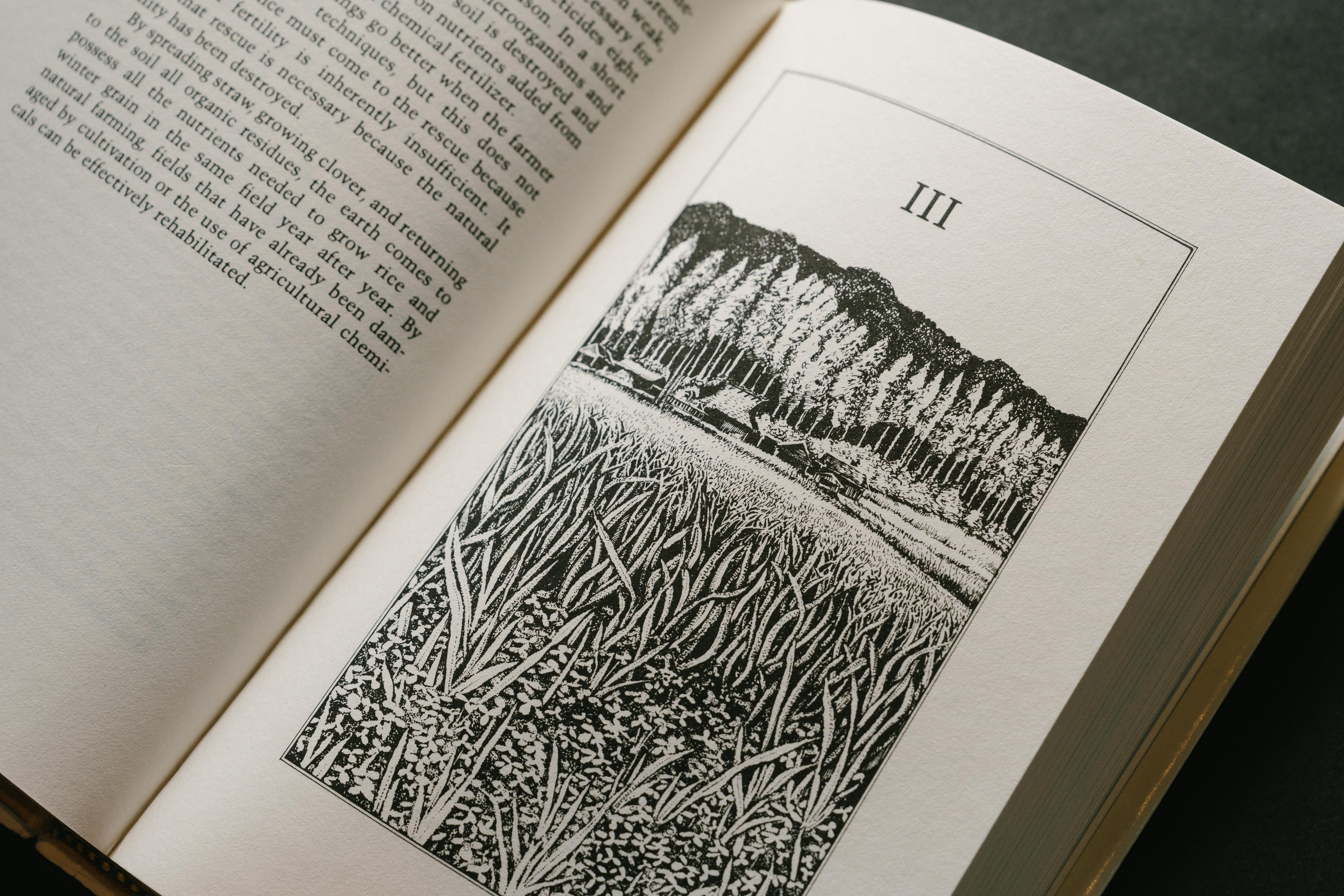 Pages of One Straw Revolution.