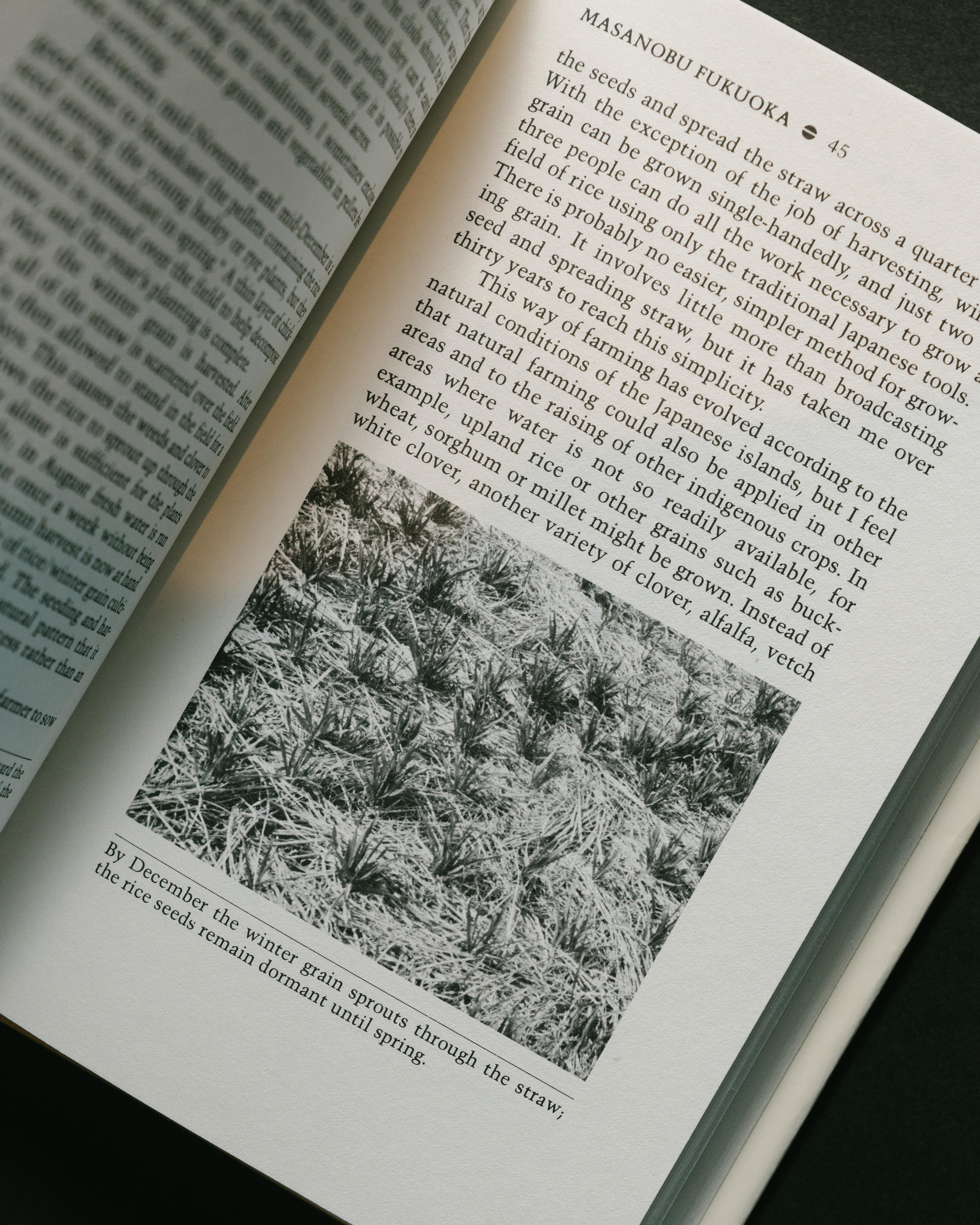 A page inside an original copy of One Straw Revolution.