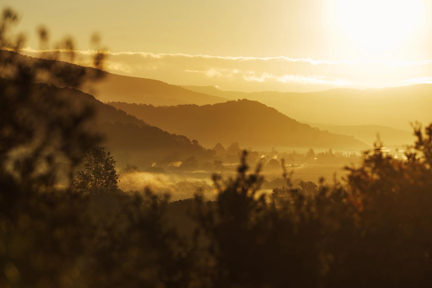 Image for Dawn Patrol with Director Mollie Maisch