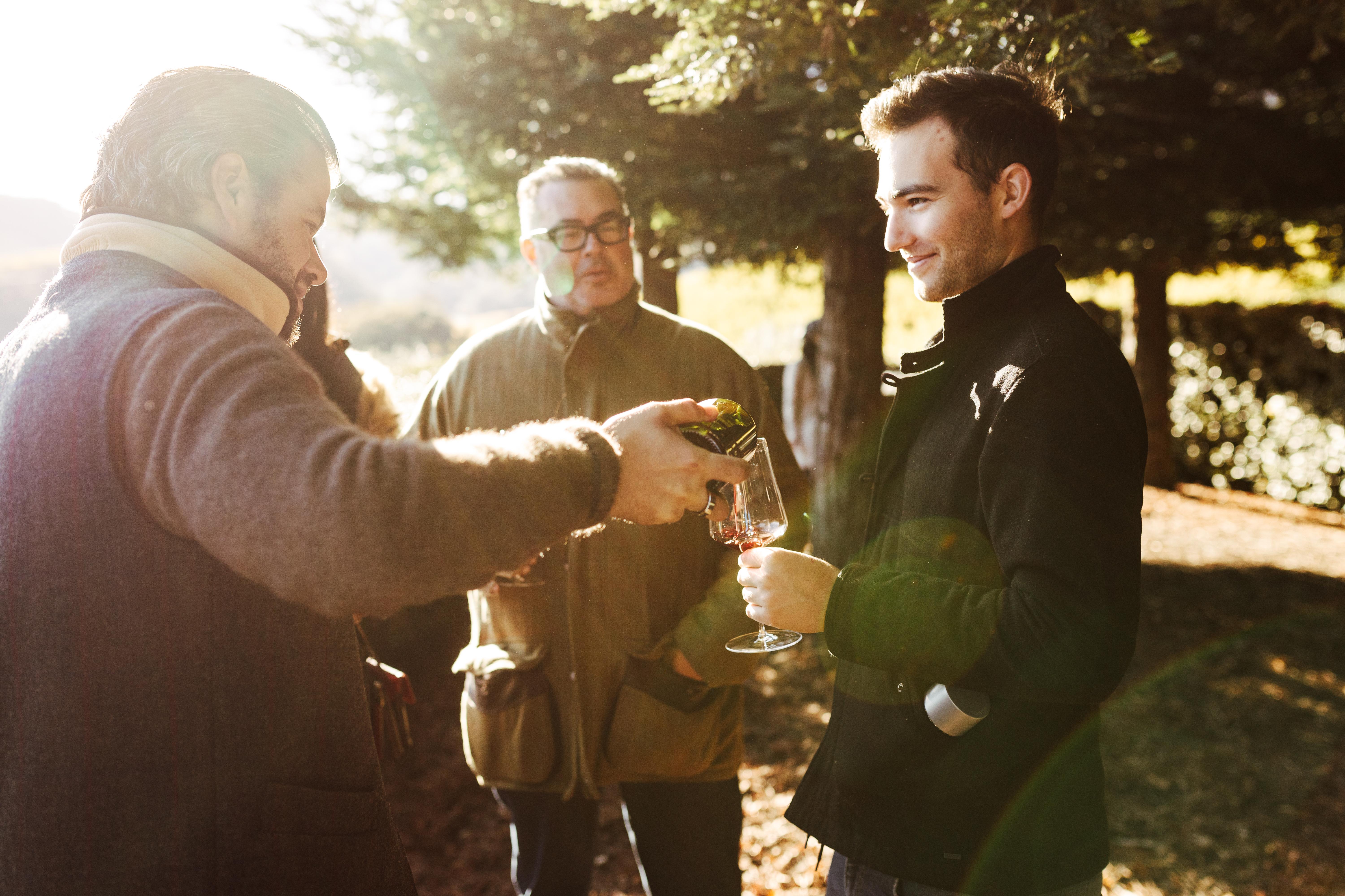 The morning golden hour at Dawn Patrol (Oakville, CA).