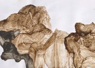  Kelp kilns, Isle of Canna, Argyll