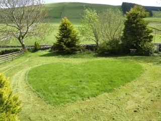 Rorys lawn cut in the shape of a heart.