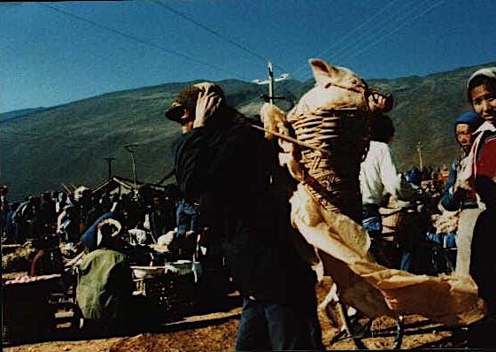 Open market outside Dali. Carrying pig.