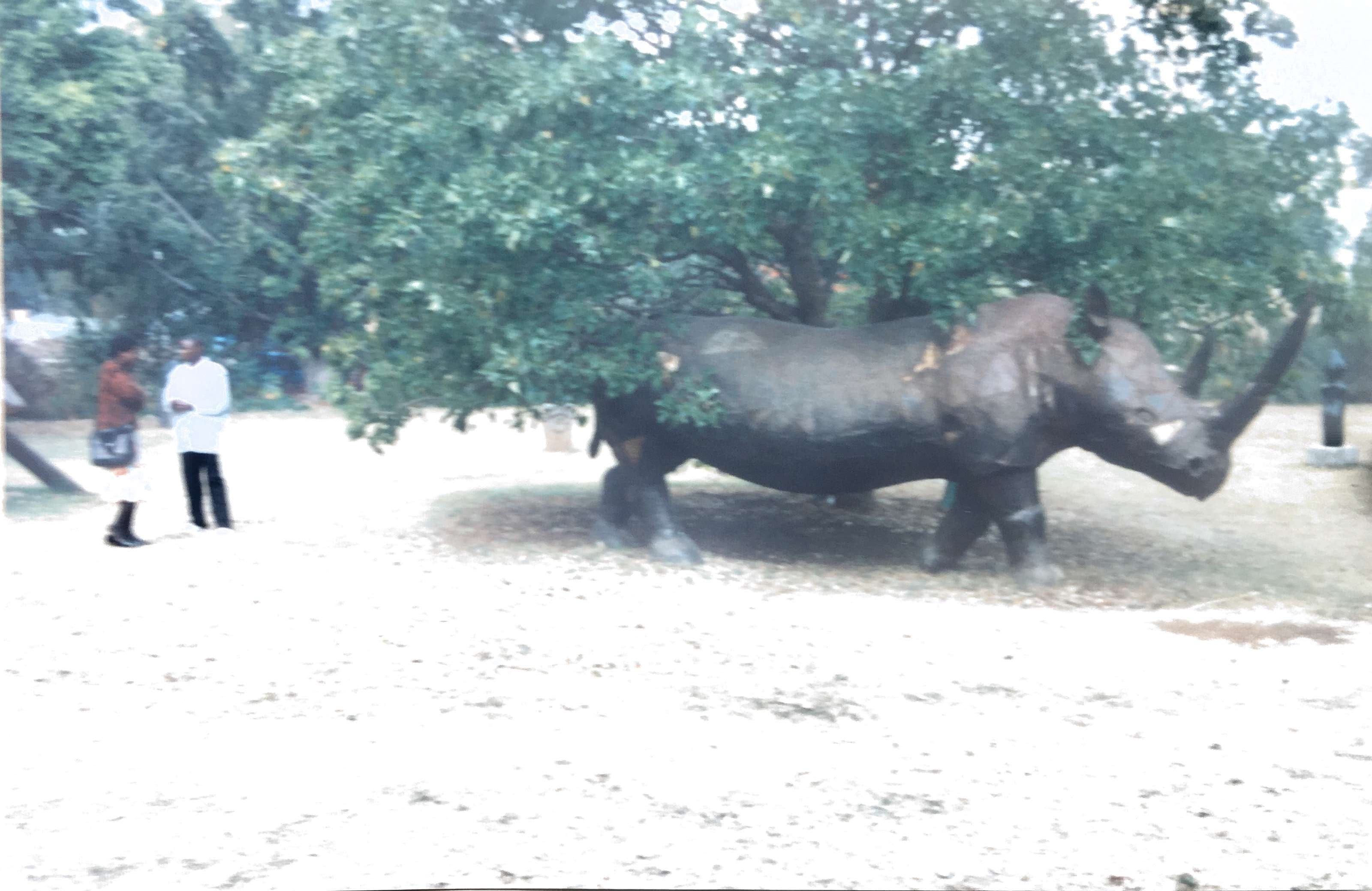 Metallic sculpture of a Rhino in Harare. Zimbabwe.