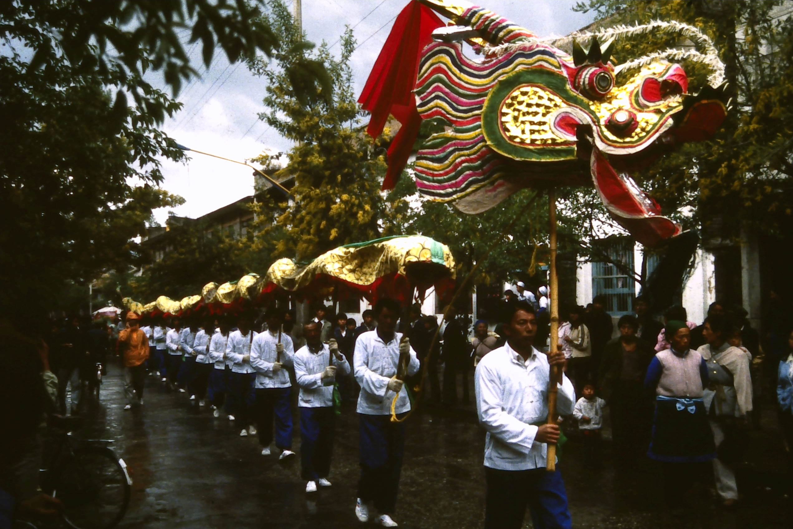 Dali. Chinese New Year procession of the serpent. Through the streets and perimeter of town.