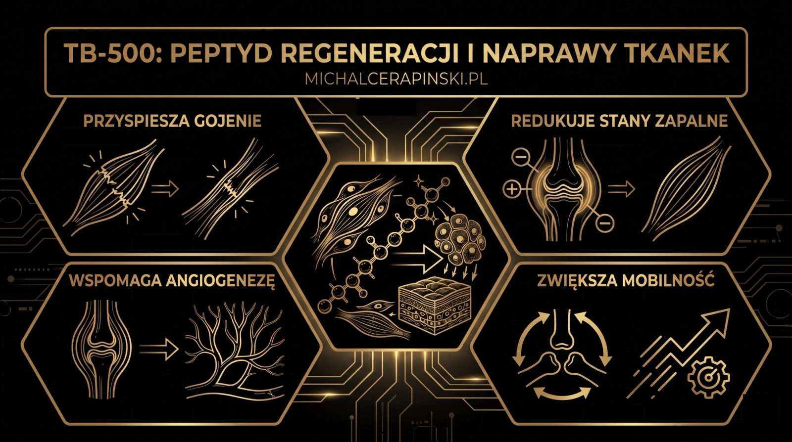 Anatomia peptydu: TB-500.