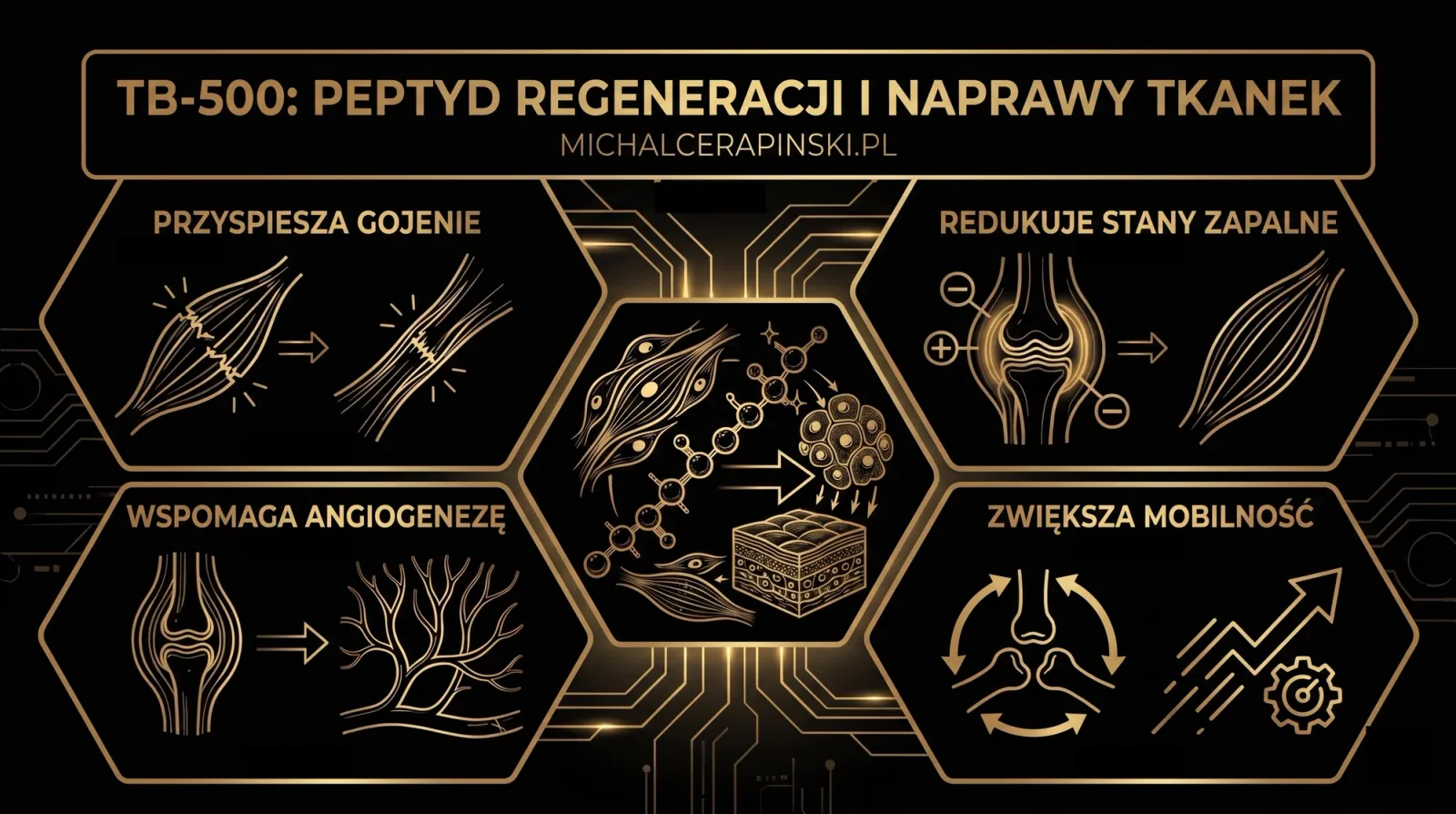 Anatomia peptydu: TB-500.