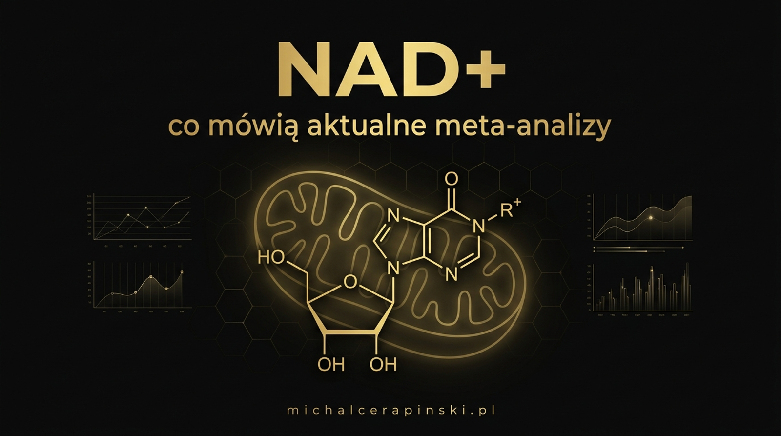 NAD+: co mówią aktualne meta-analizy.