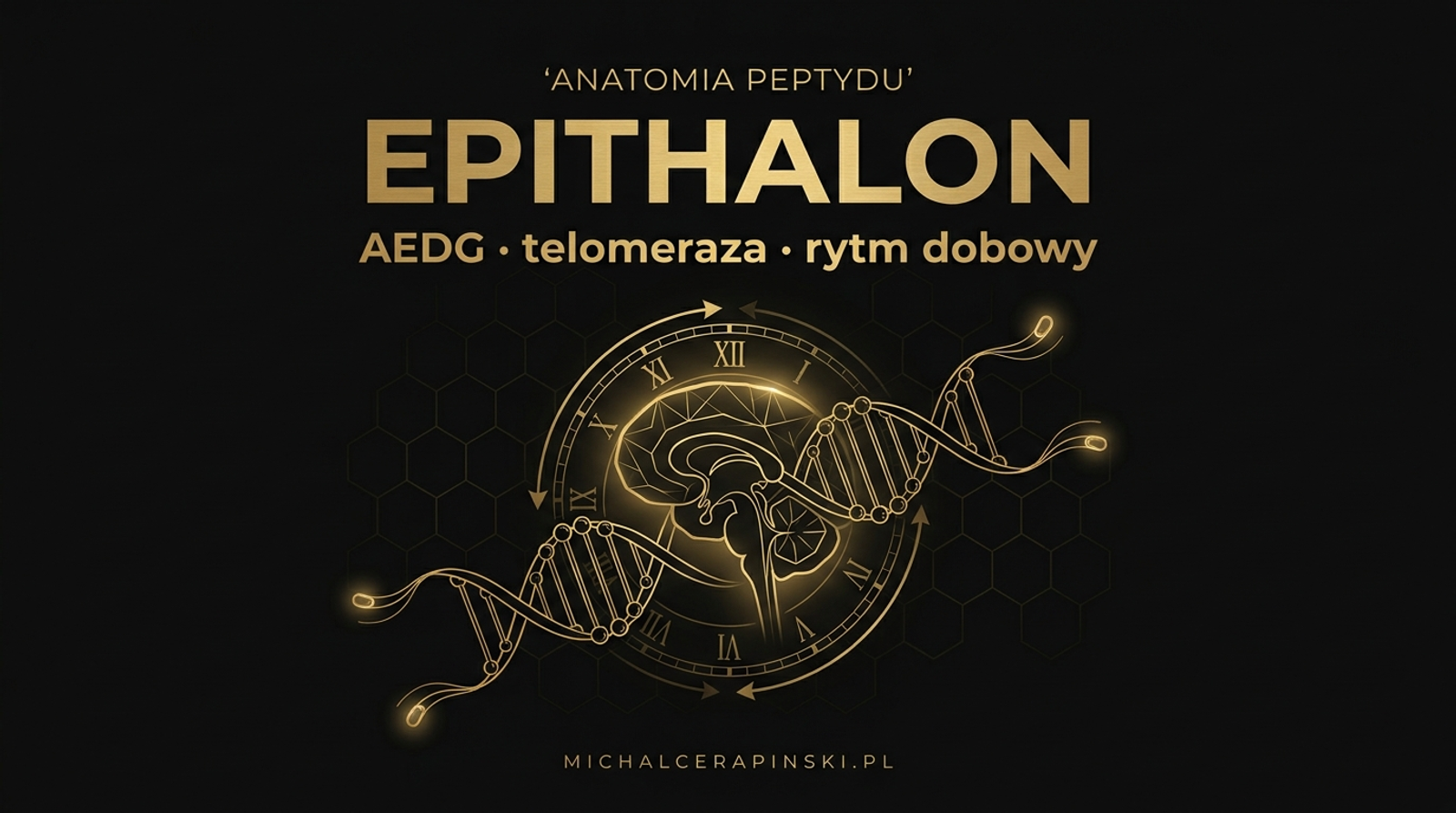 Anatomia peptydu: Epithalon.