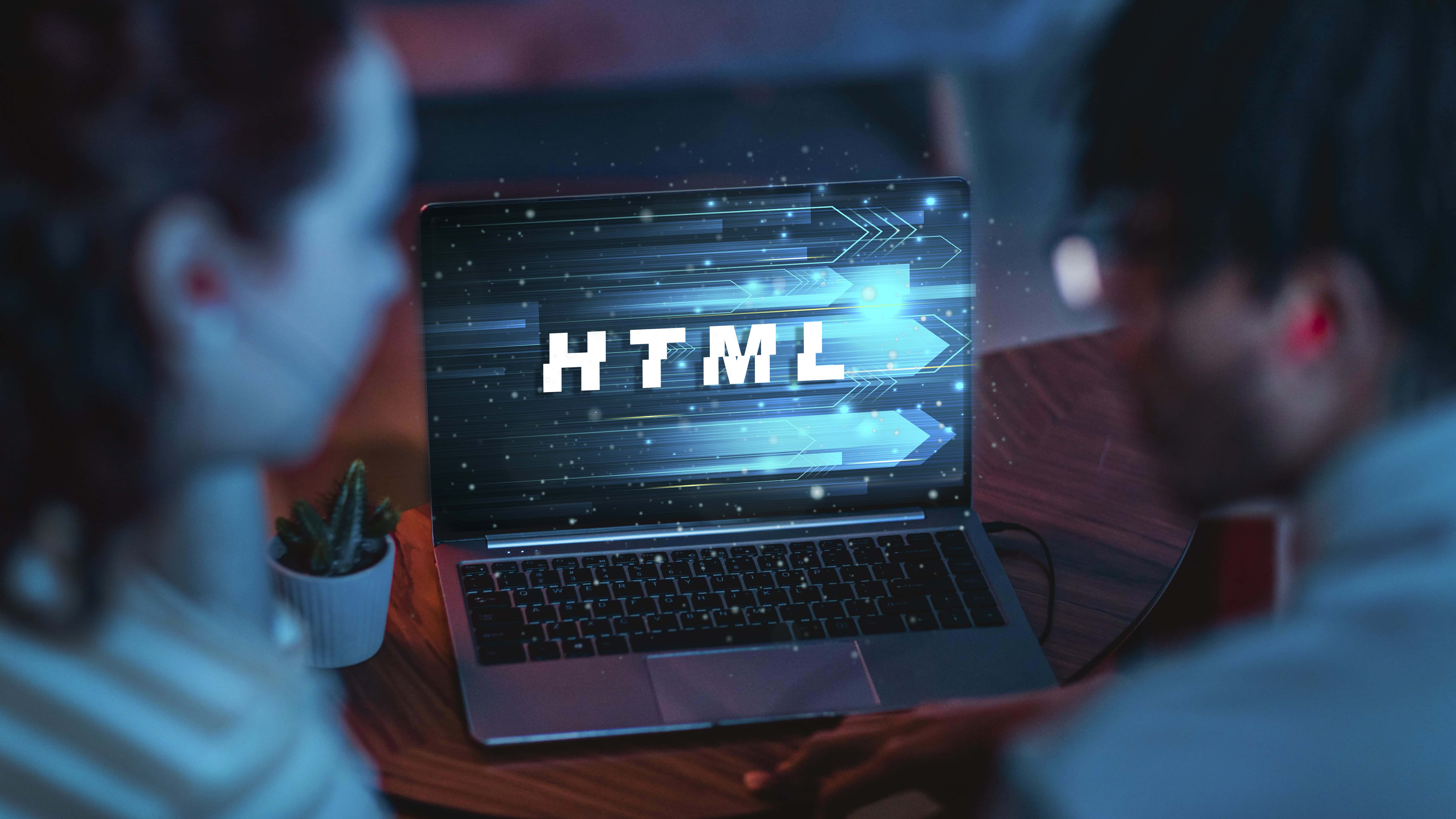 Web application development services: Everything you need to know