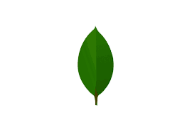MongoDb
