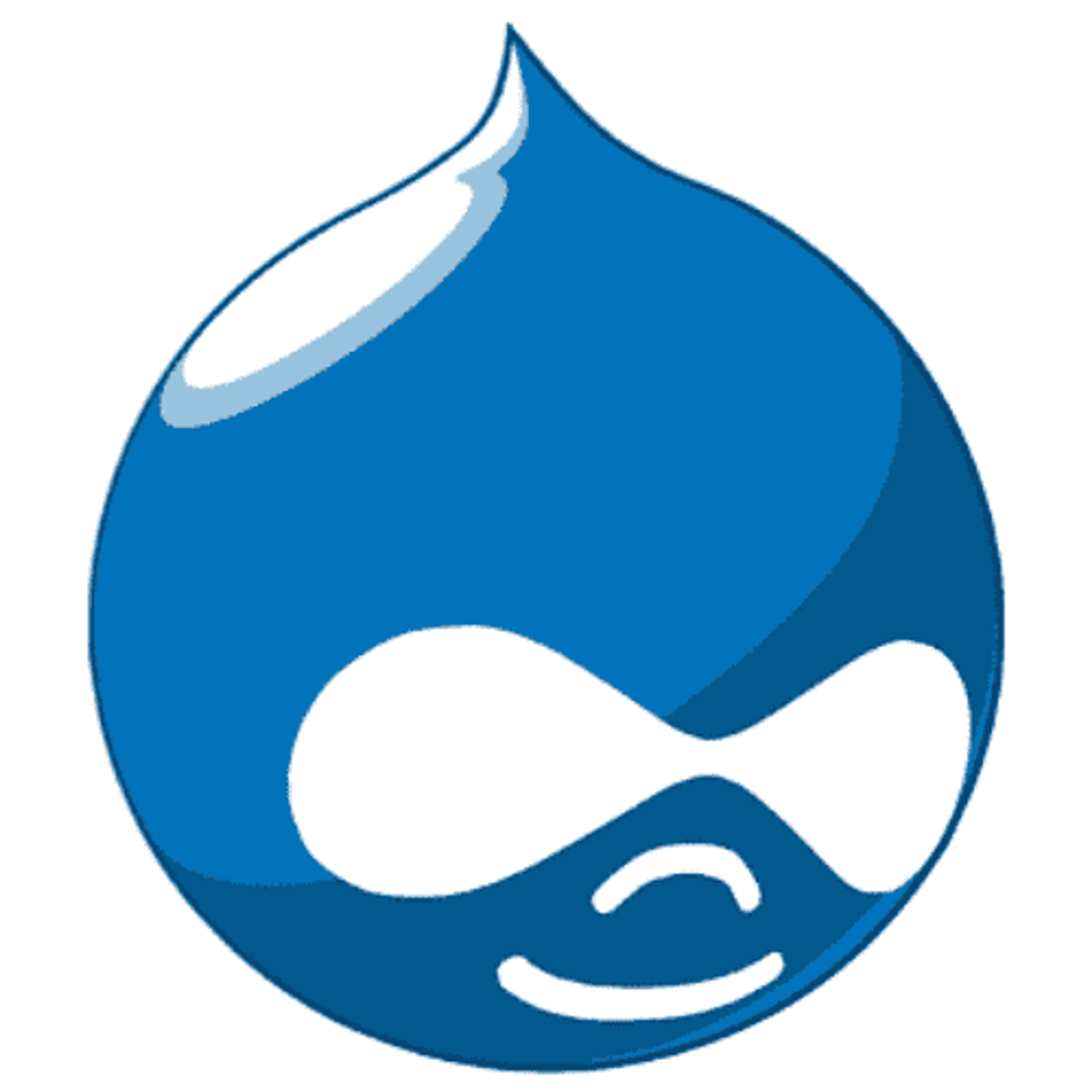 custom cms development drupal