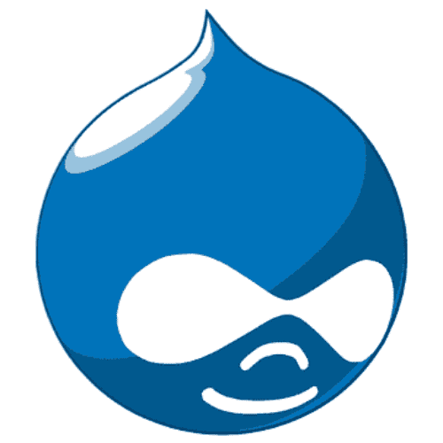 custom cms development drupal