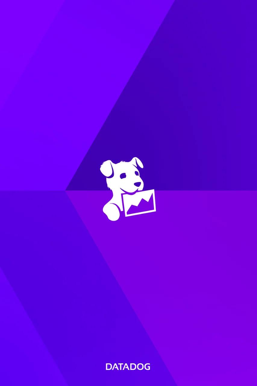 Datadog log management process flow diagram, showcasing Datadog’s log ingestion, parsing, enrichment, and anomaly detection. CodeAutomation helps businesses integrate and manage real-time monitoring systems effectively