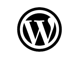 custom cms development wordpress usa