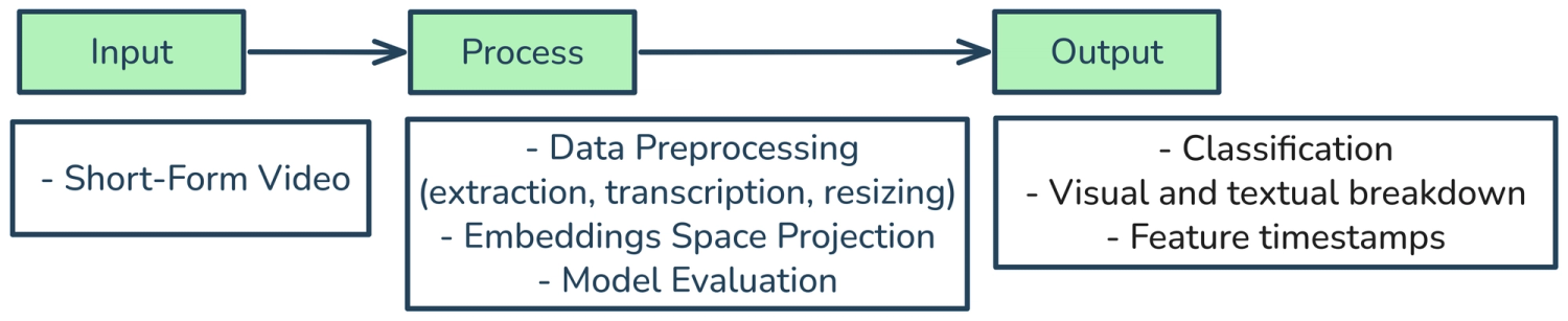 Conceptual Framework