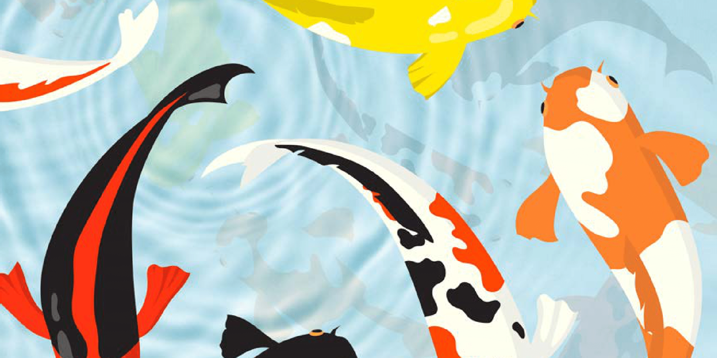 a group of colorful fish are swimming in a pond