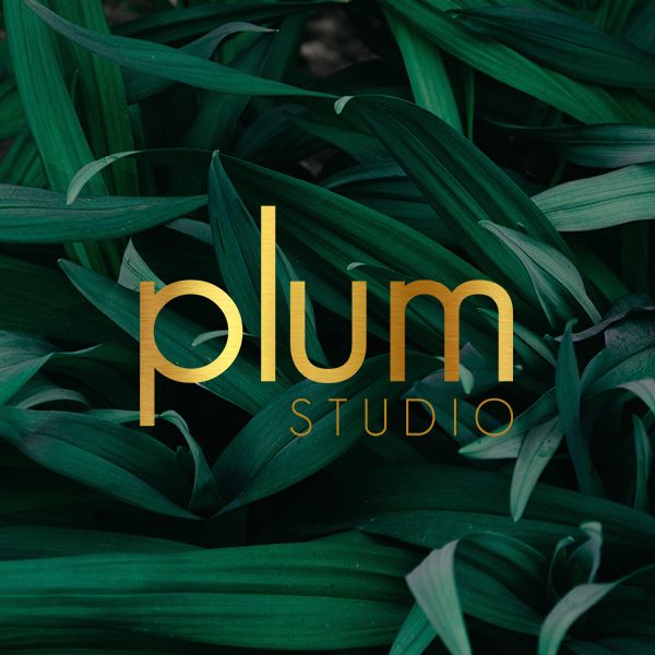 Website Development for Plum Studio