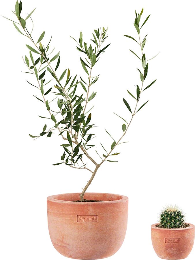 シュプリームSupreme / Poggi Ugo Small Planter Spring/Summer 2022 Preview – Supreme
