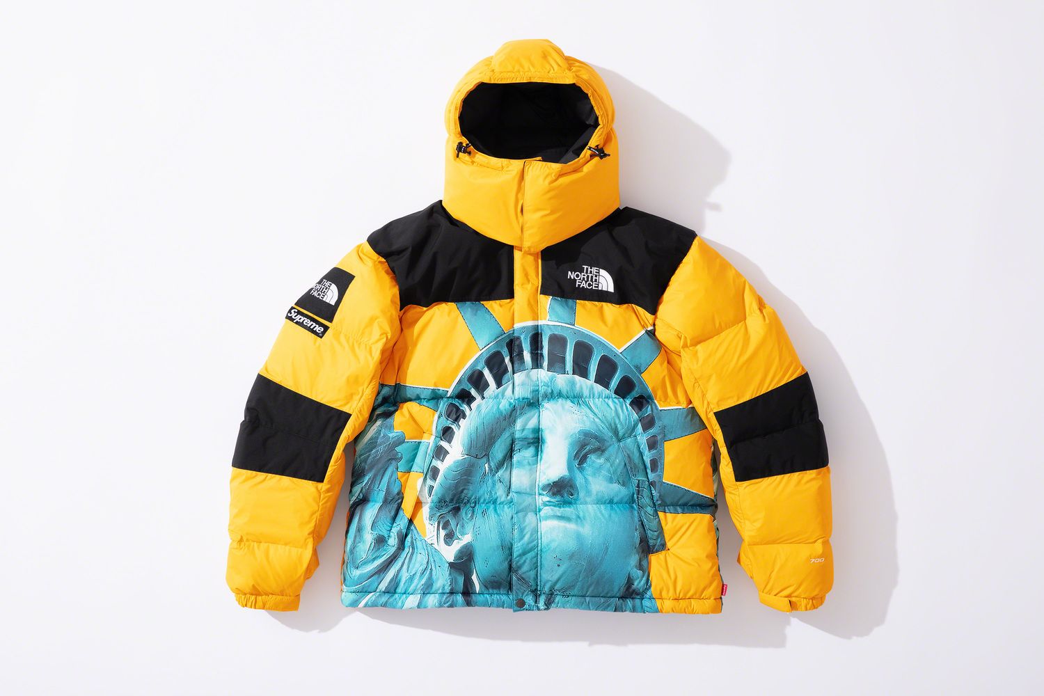 Supreme/The North Face Statue of Liberty Mountain Jacket size S シュプリーム ザ ノースフェイス マウンテン ジャケット サイズS Supreme The North Face Statue of Liberty Mountain Jacket REVIEW⁄TRY ON