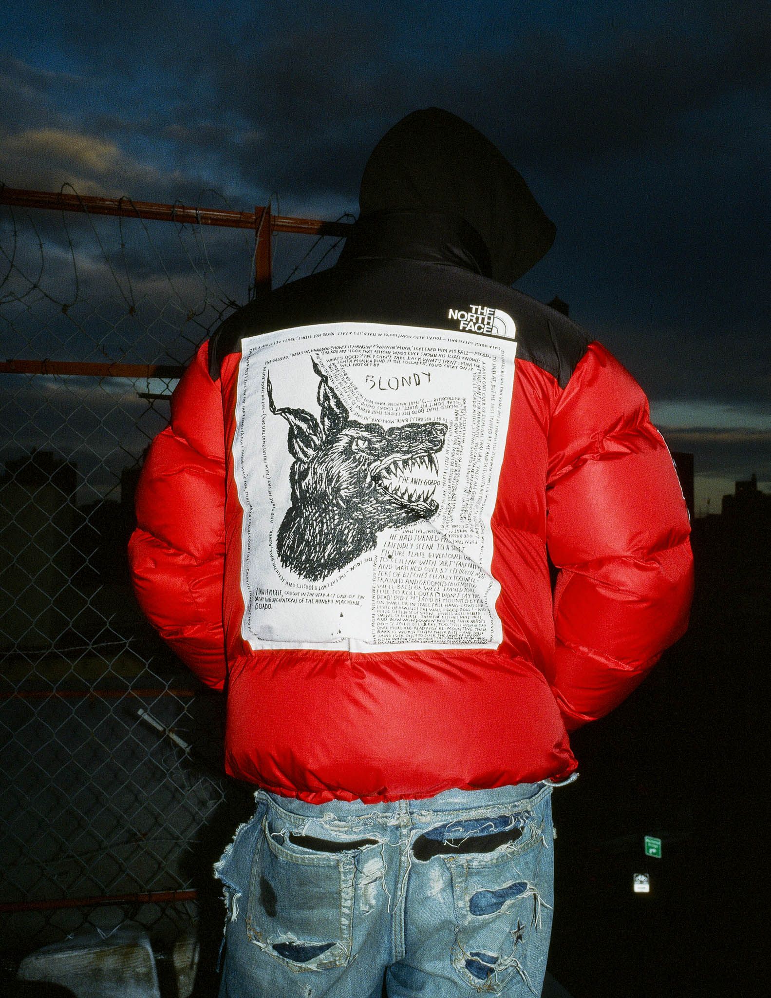 ジャケット・アウター Supreme x The North Face Down Filled RED Buy Supreme x The North Face Down Filled Zip Up Hooded