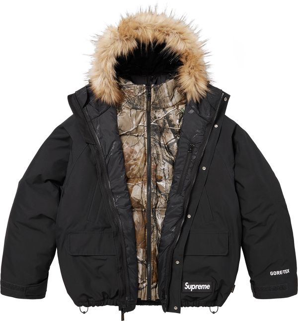 2-in-1 GORE-TEX Parka + Reversible 700-Fill Down Liner Jacket