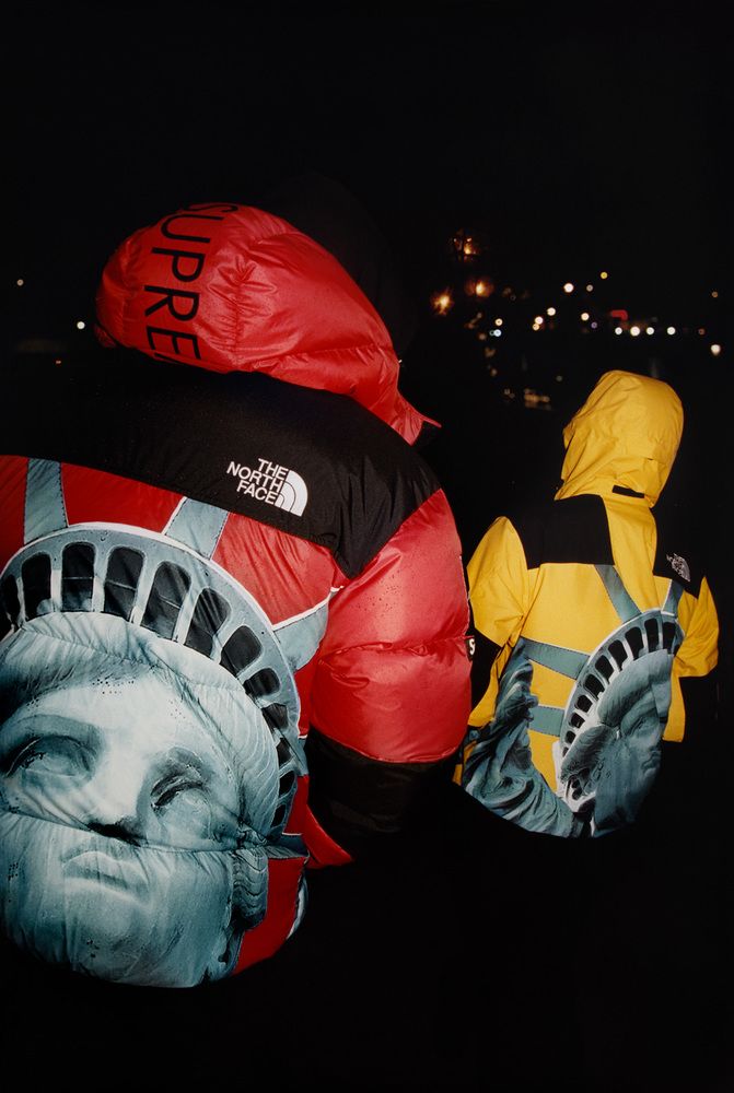 Supreme®/The North Face® – Gallery – Supreme