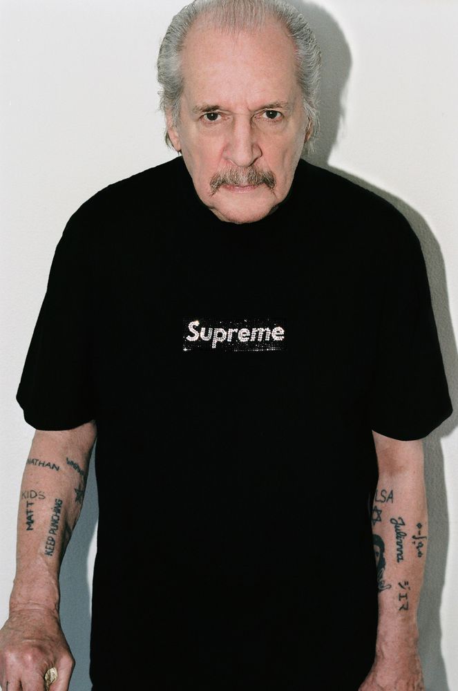 シュプリーム×ラリークラーク Supreme Larry Clark Girl Sticker SS17 Authentic Brand New