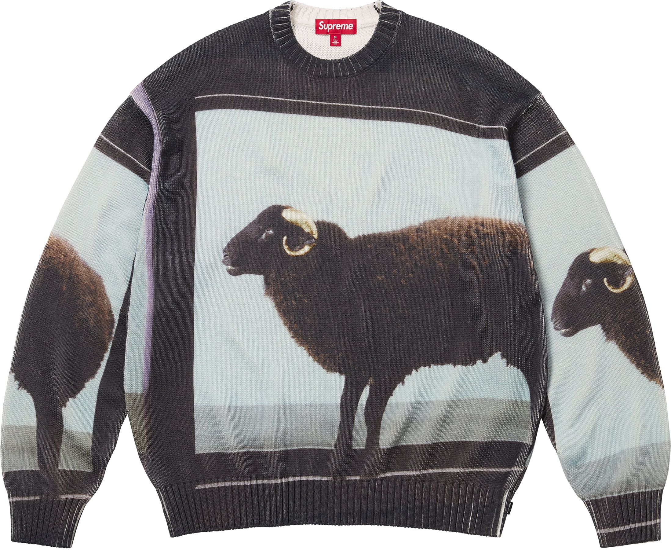 Spring/Summer 2025 Preview – Supreme