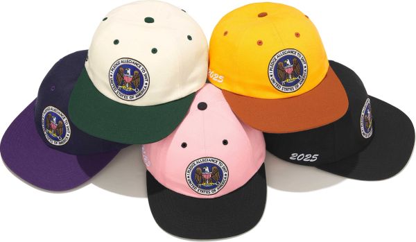 Pledge Allegiance 6-Panel