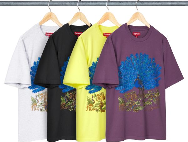 Peacock S/S Top