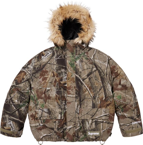2-in-1 GORE-TEX Parka + Reversible 700-Fill Down Liner Jacket