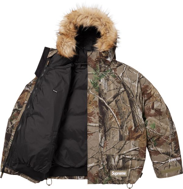 2-in-1 GORE-TEX Parka + Reversible 700-Fill Down Liner Jacket