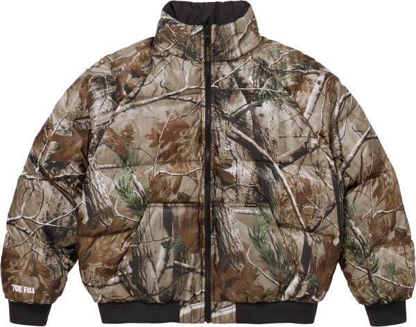 2-in-1 GORE-TEX Parka + Reversible 700-Fill Down Liner Jacket