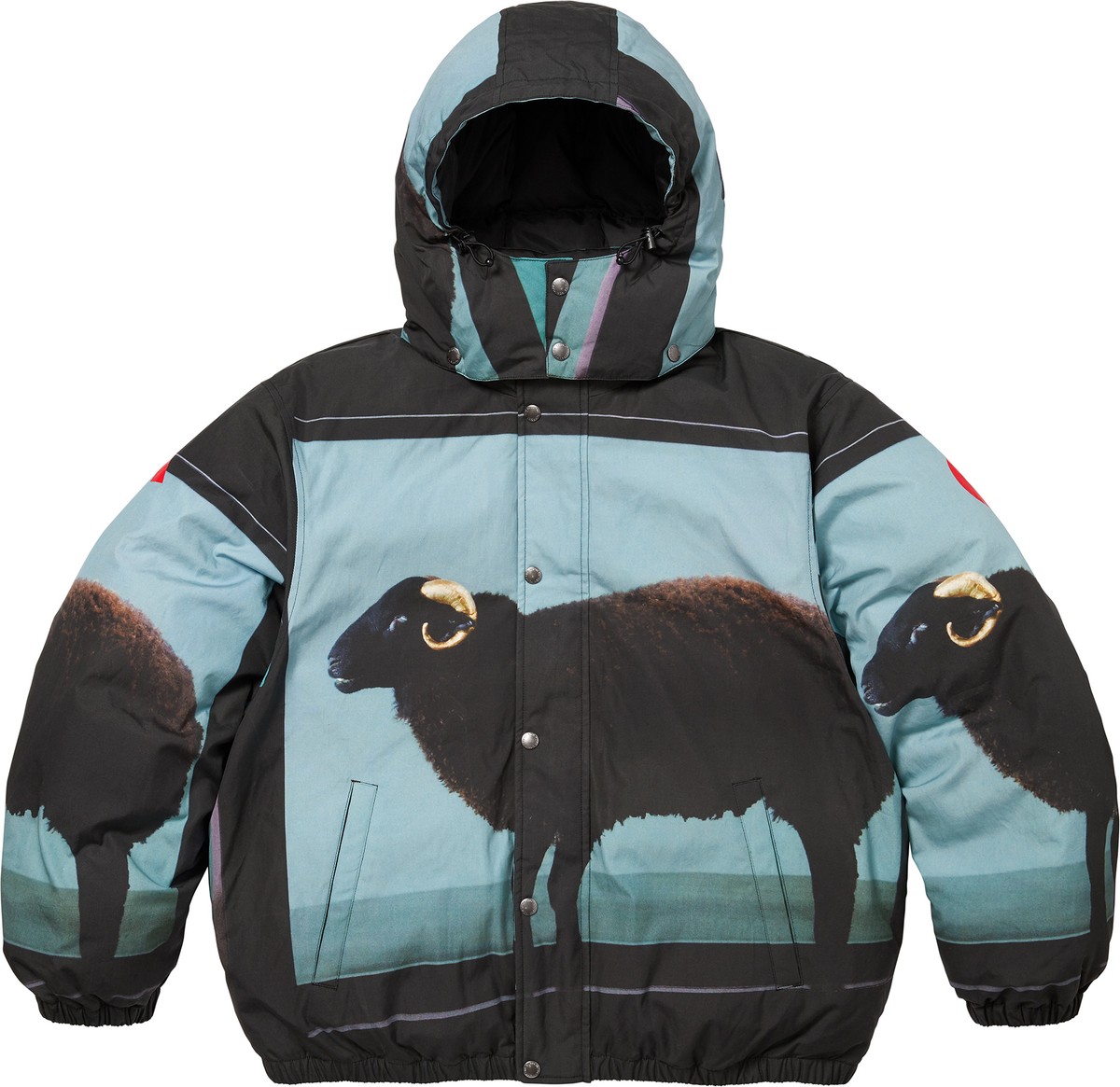 Spring/Summer 2025 Preview – Supreme
