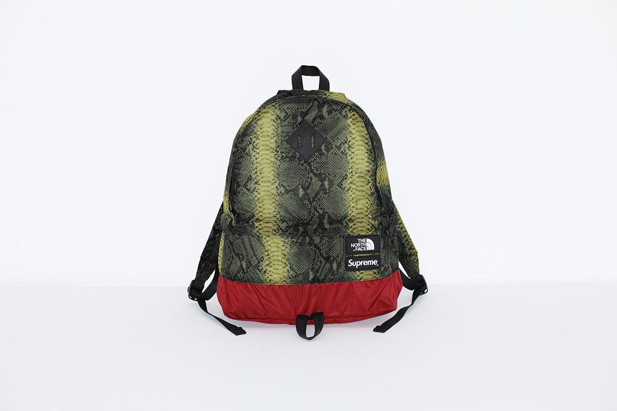Supreme®/The North Face® – Gallery – Supreme