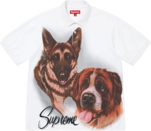 Dogs Polo