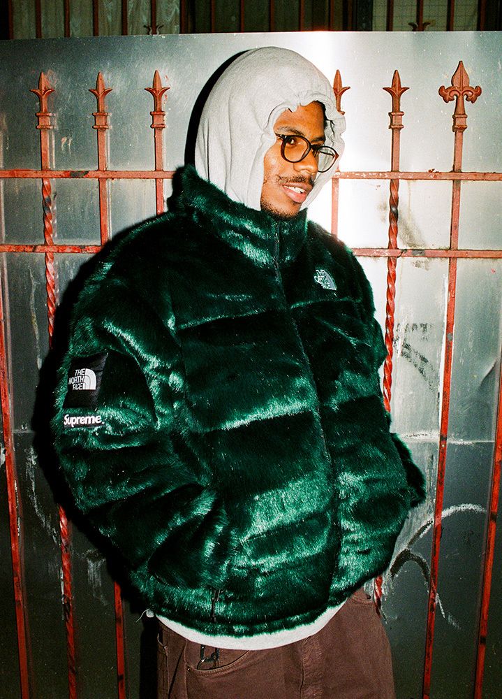 Supreme®/The North Face® – Gallery – Supreme